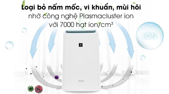 Công nghệ ngăn chặn nấm mốc hiệu quả